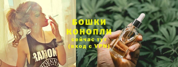 метадон Богданович