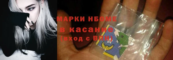 метадон Богданович