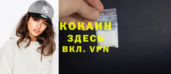 метадон Богданович