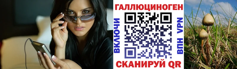 Купить  Малая Вишера  Галлюциногенные грибы прущие грибы 